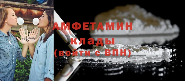 гашик Новодвинск