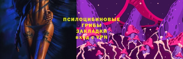 бошки Армянск
