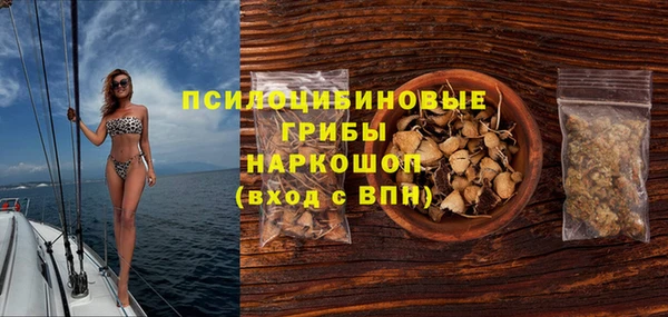гашик Новодвинск