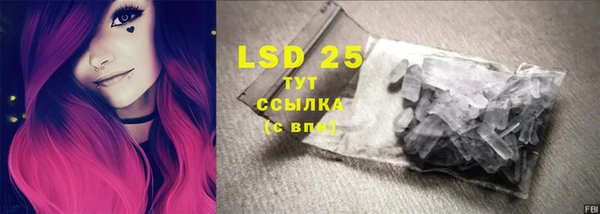 прущий лед Новозыбков
