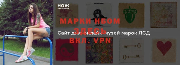 прущий лед Новозыбков