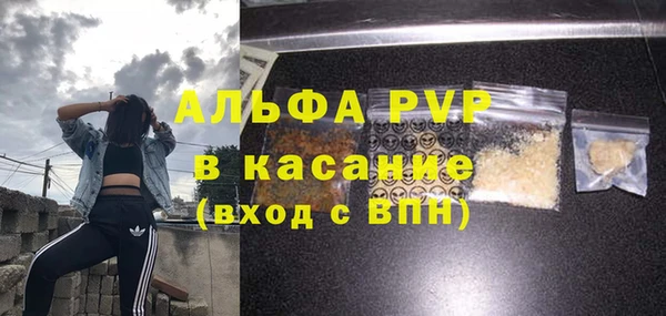 гашик Новодвинск