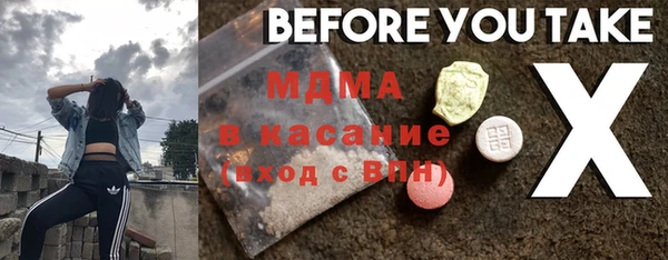 гашик Алексин