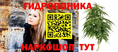 твердый Апшеронск