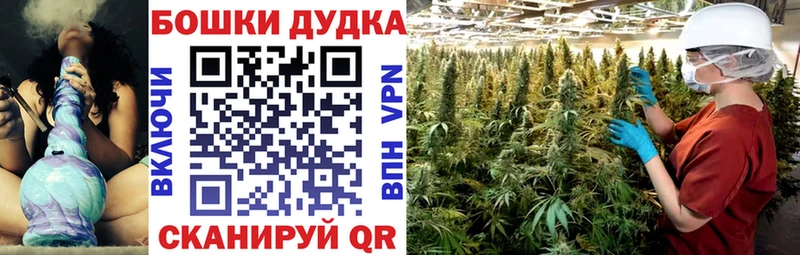 Бошки марихуана конопля  Архангельск 
